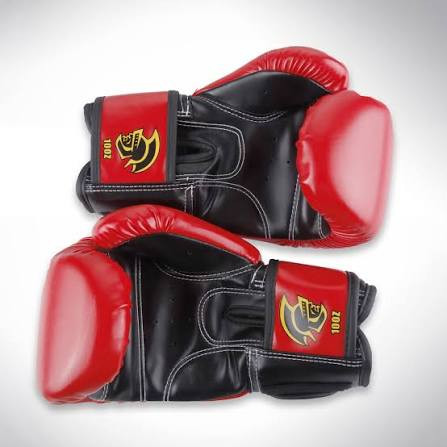 Sajha24 Pretorian Boxing Gloves