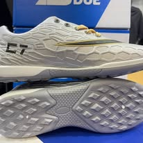 SB Futsal shoes